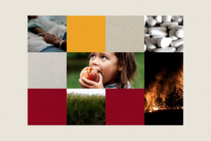 Ignite Interdisciplinary Grant awardees announced