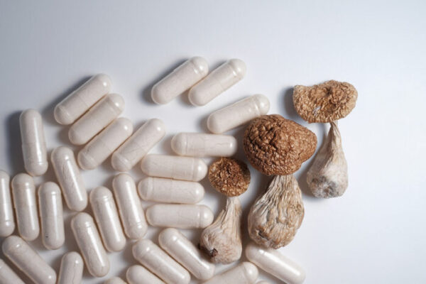Psilocybin providers follow safety guidelines, study finds